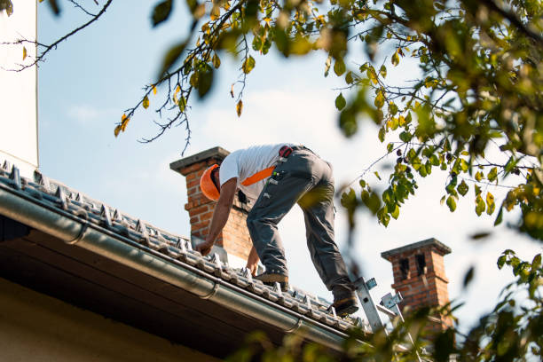 Best Roof Leak Repair  in Homer City, PA
