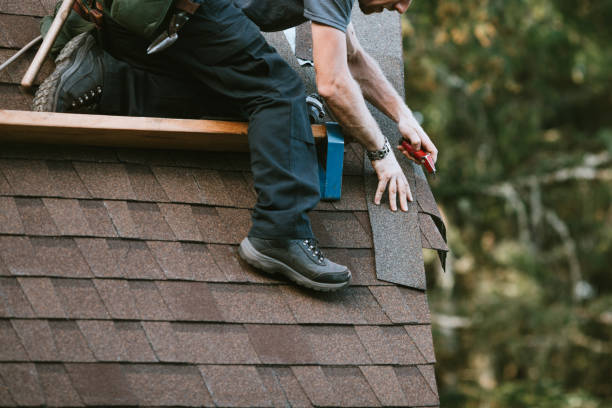 Best Local Roofing Companies  in Homer City, PA